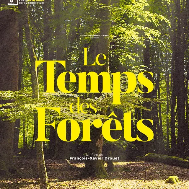 Affiche le temps des forêts 2025