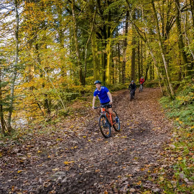 VTT à Saint-Pois