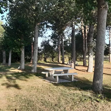 Aire de pique-nique - Hauteville - Avenue du Sud (1)