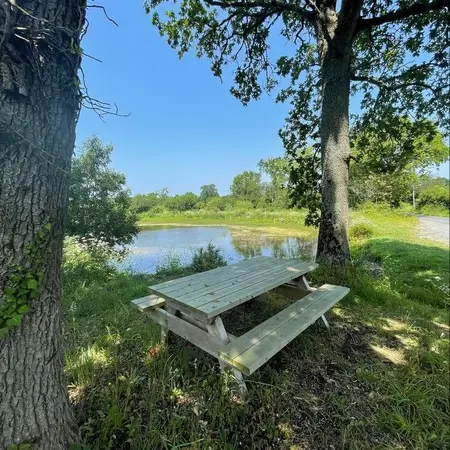 Aire de pique nique blainville sur mer mare aux grenouilles (2)