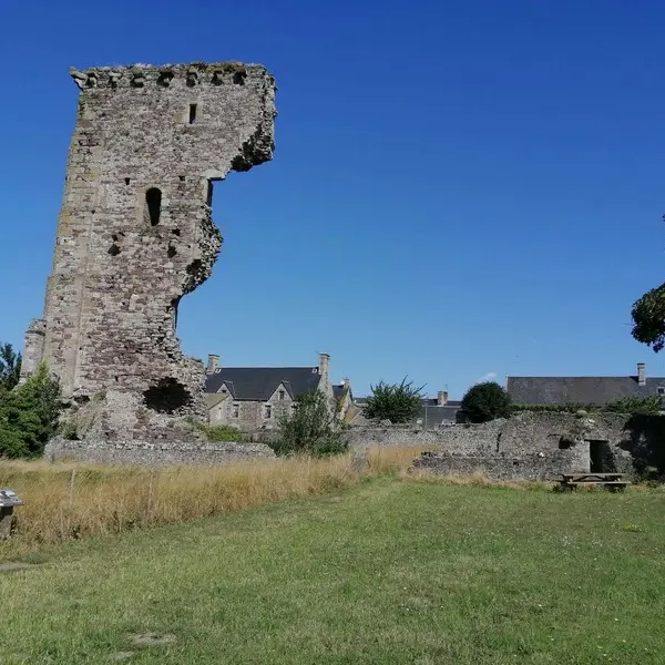 Aire pique nique regneville sur mer château (1)