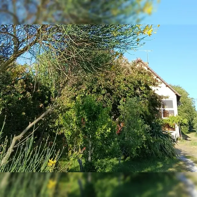 Bulle de jardin_mardi 18h (1)