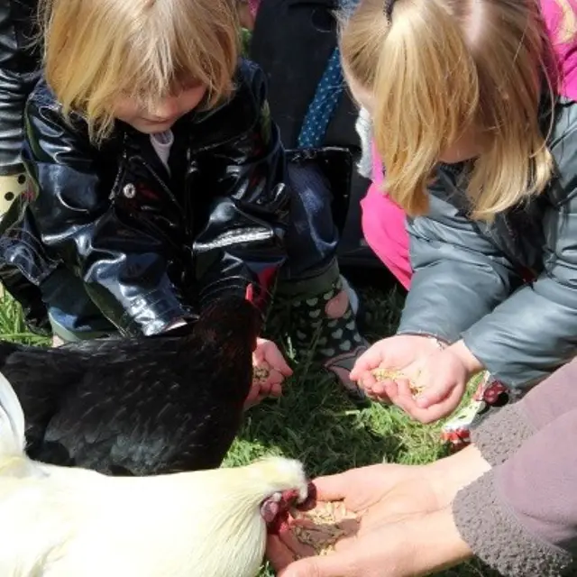 C'est toi le fermier