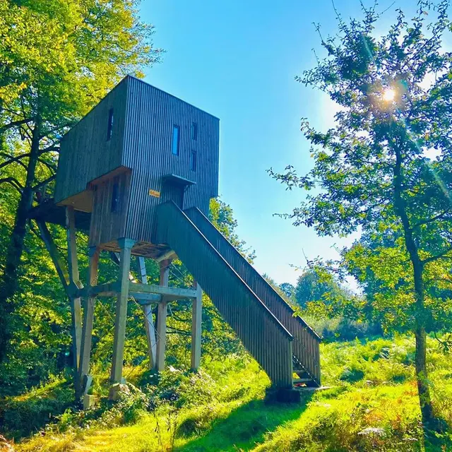 Cabane arbre (Copy)