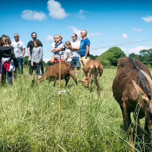 Ferme La Chèvre Rit_Découverte®kreazim noramandie 2016 4
