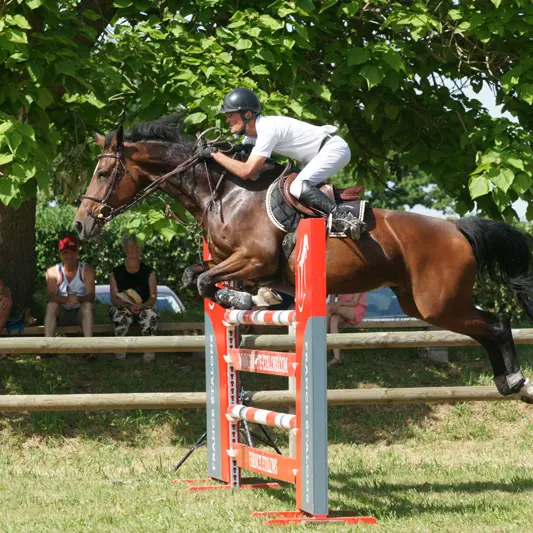 Concours hippique