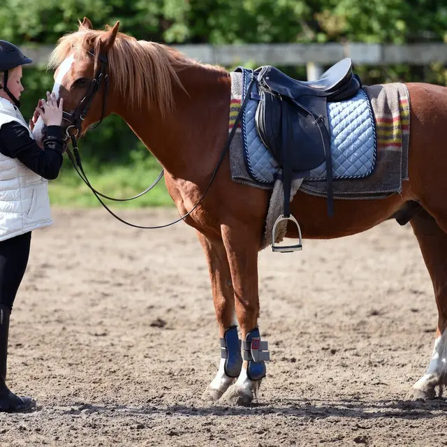 Equitation