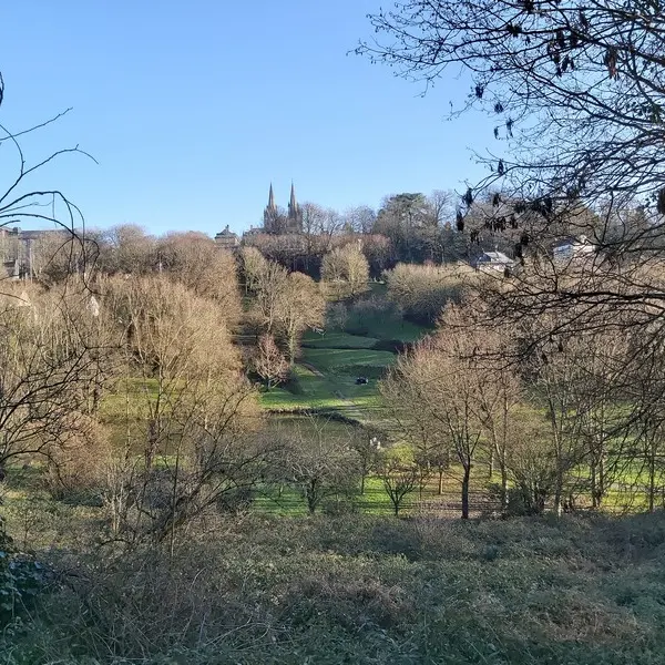 Etang Bulsar - Bois des vignettes (3)