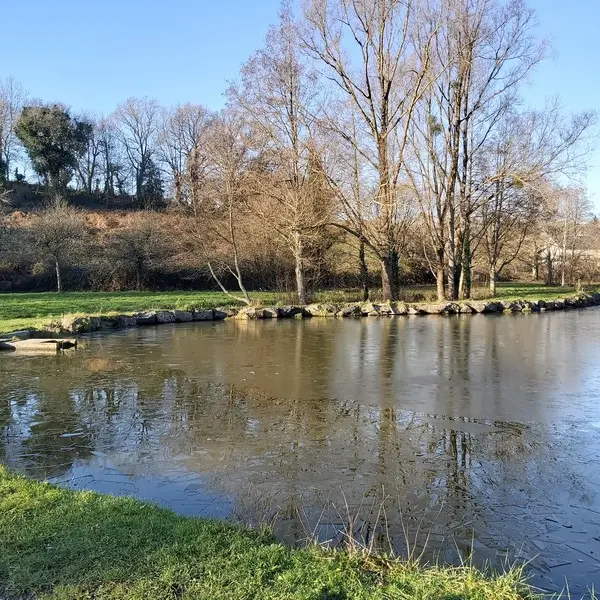 Etang Bulsar - Bois vignettes