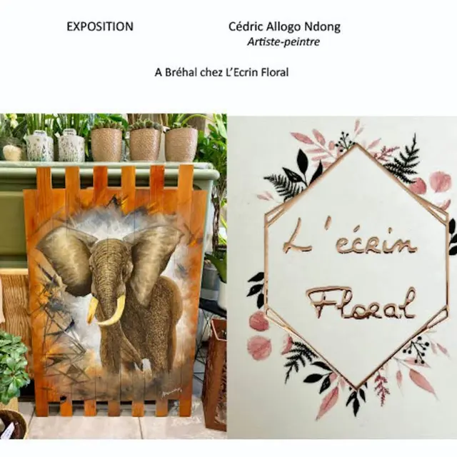 Exposition Cédric Allogo Ndong 2025