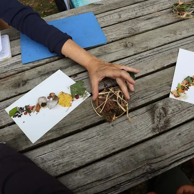 Vains_Ecomusée de la Baie_Création végétale