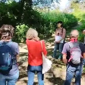 Balade Cérences 2026