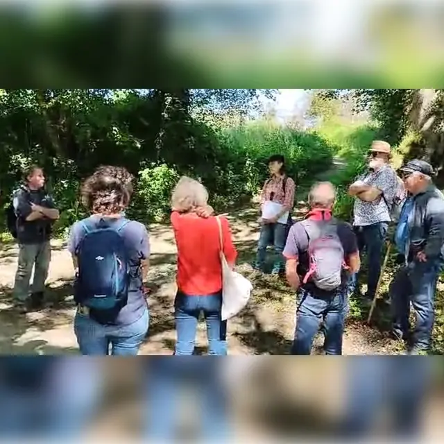 Imagen de WhatsApp 2024-11-08 a las 15.27.10_719ed56b*