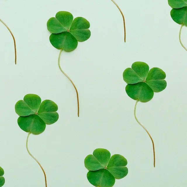 Irish
