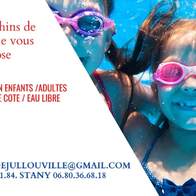 Les dauphins de Jullouville T