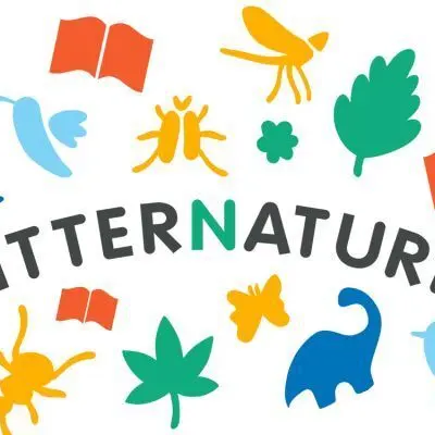 LitterNature Médiathèque Granville 2025