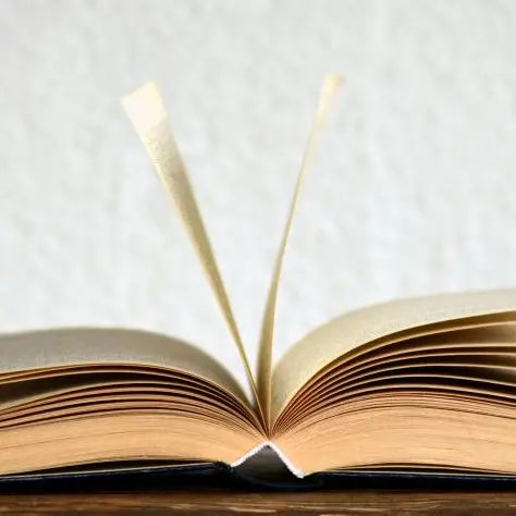 Livre pexels pixabay 2025