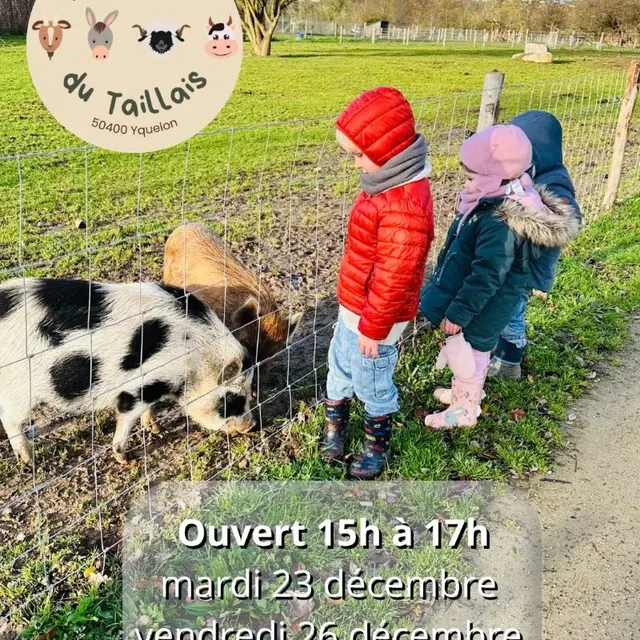 Mini-ferme du Taillais