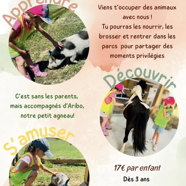 Mini-stage ferme du Taillais 2025