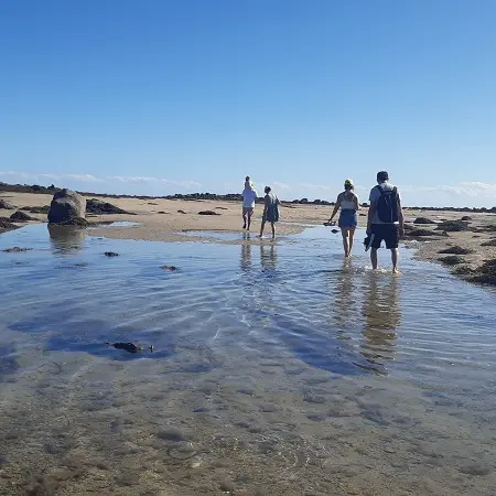 Michel Jeanne Chausey estran