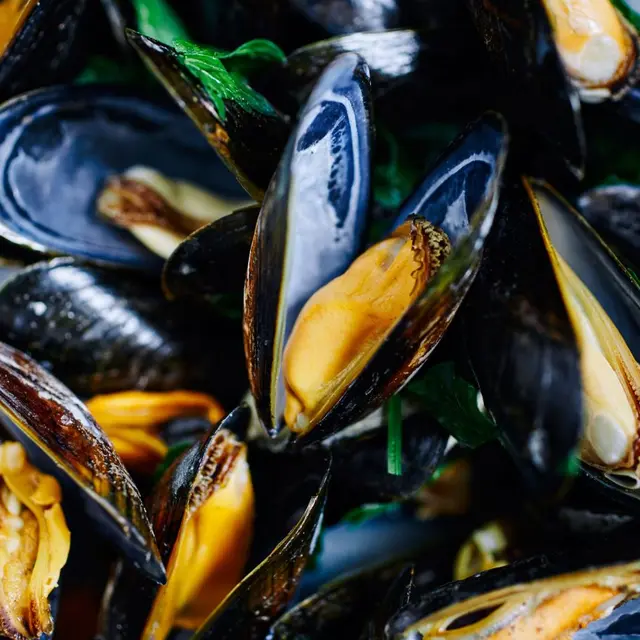 Moules2
