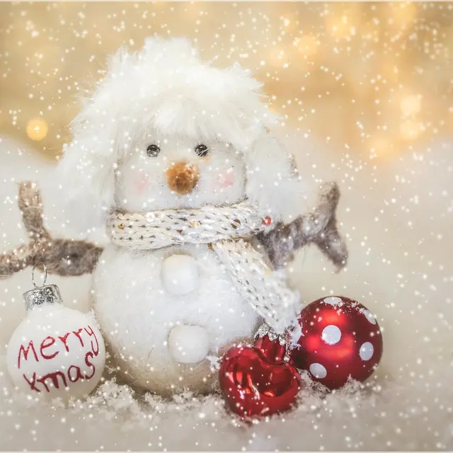 Noël (5)