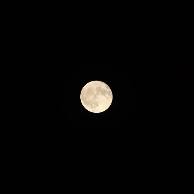 Nuit