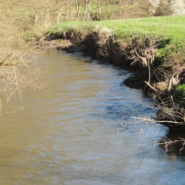 PEL_Orval-sur-Sienne_Bords de soules