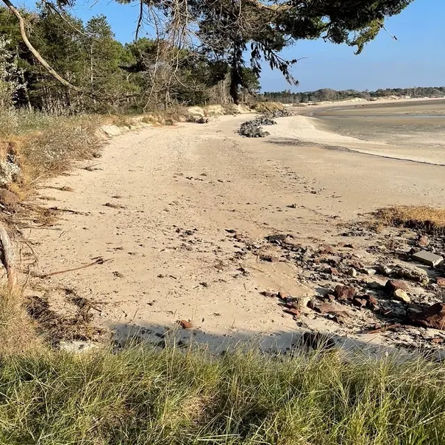 PEL_Tourneville-sur-Mer (Lingreville)_1-FToumit-06-01-26 (900)