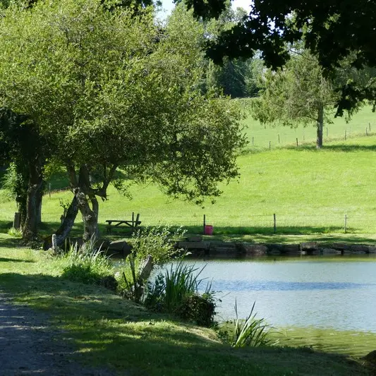 Patrimoine naturel montaigu les bois etangs (1)