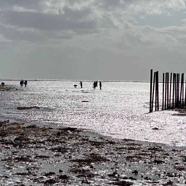 Pêche à pied