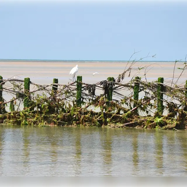Pecherie-2 (1)