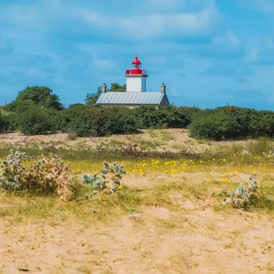 Phare pointe agon coutainville teddy bear photos (2)