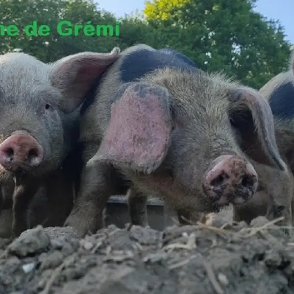 Saint-Ovin_La_Ferme_de_Gremi1