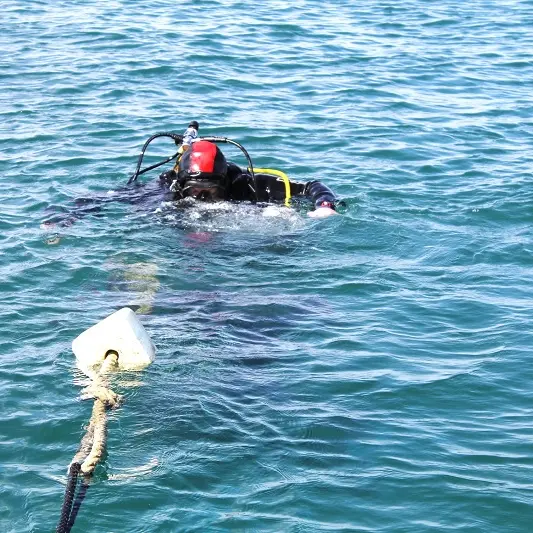 Plongée Chausey Loisirs 3