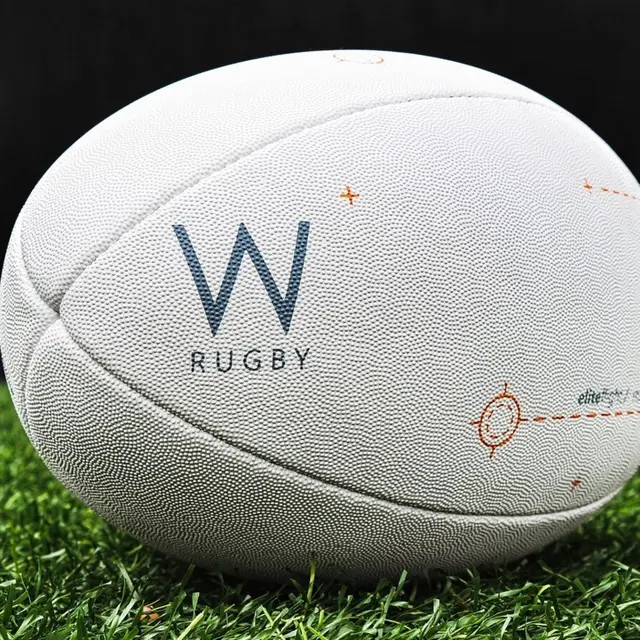 Rugby-Pixabay*