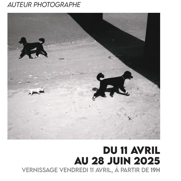 Affiche exposition