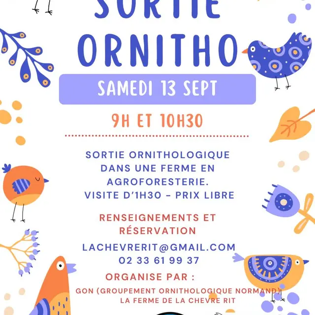 SORTIE ORNITHO 2025