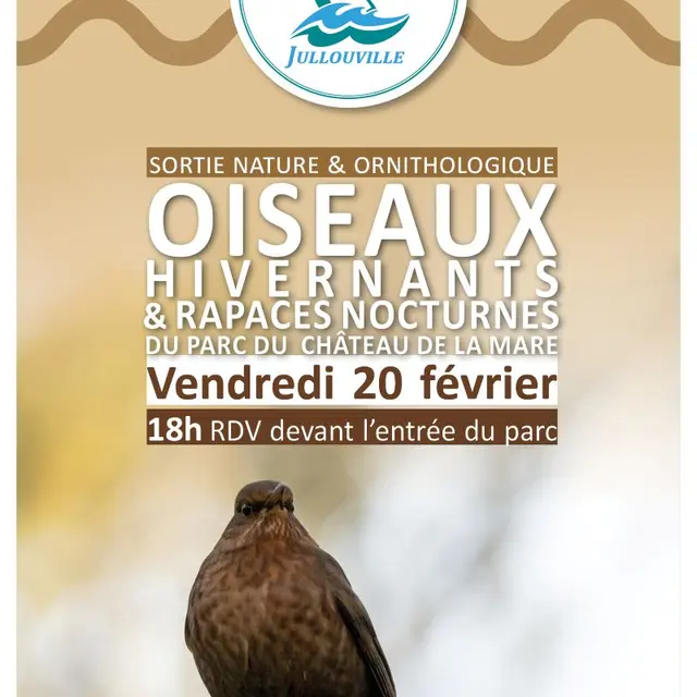 2026 - SORTIES ORNITHOLOGIQUES 20.02.2026