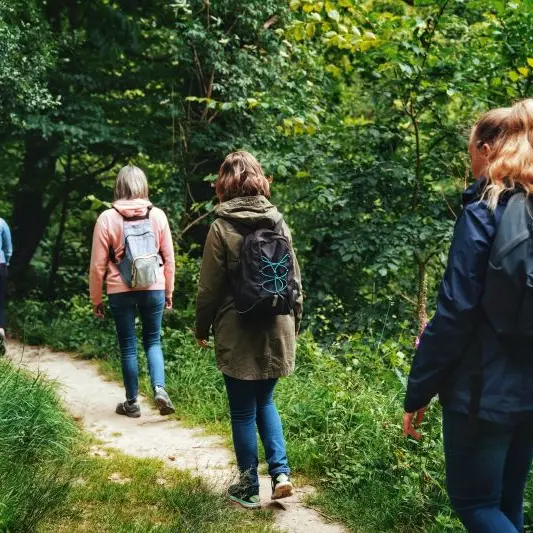 Sophro'balade - Aimie Sophrologie