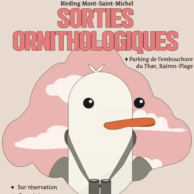 Sortie ornithologique Saint-Pair-sur-mer 2025