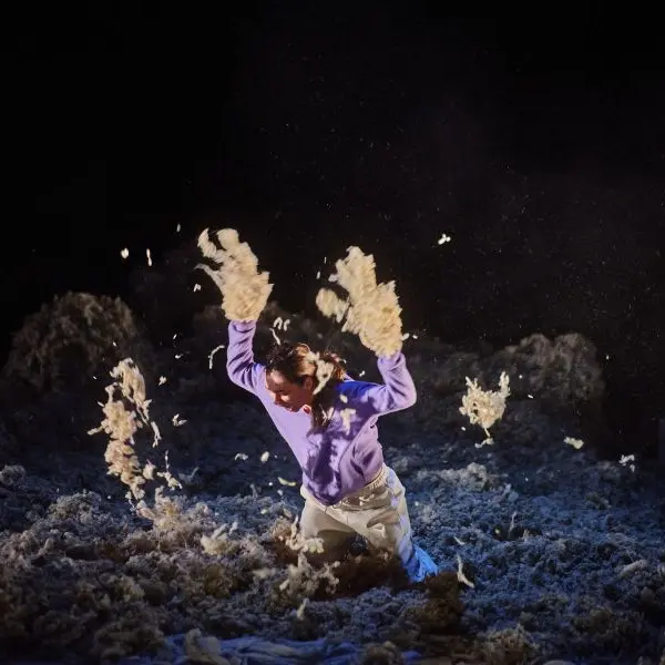 2026 - Un_oiseau_a_l_aube