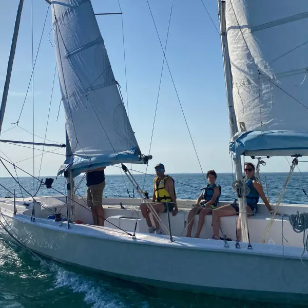 Visuel pour OTI - Tourninsoft - VOIL 1