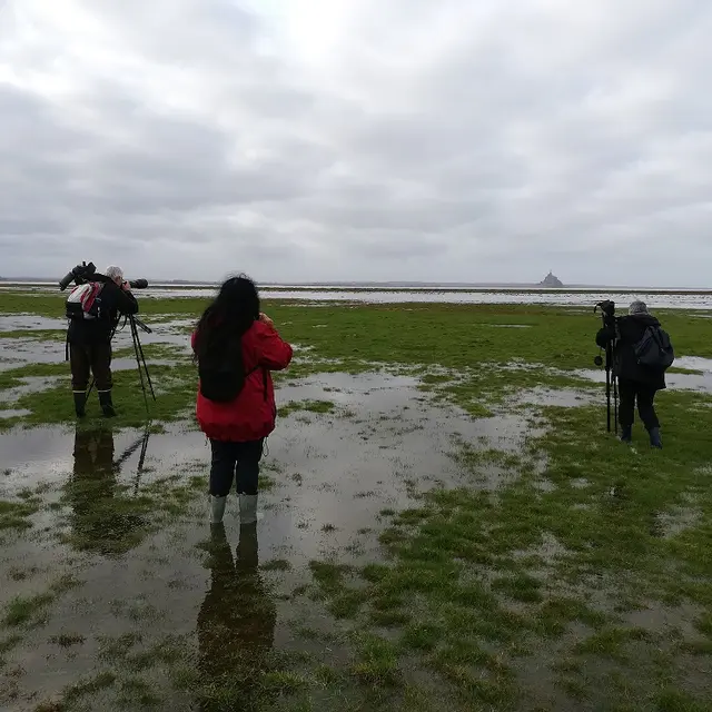 Vains_Ecomusée de la Baie_sortie ornithologique©CD50