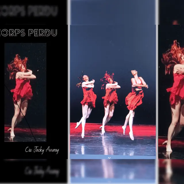 Visuel_a_corps_perdu (1)