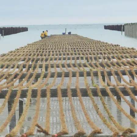 Visite moulières Pierre Maze