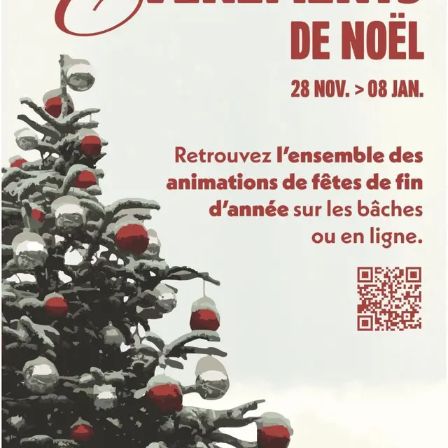 Programme de Noël SPSM