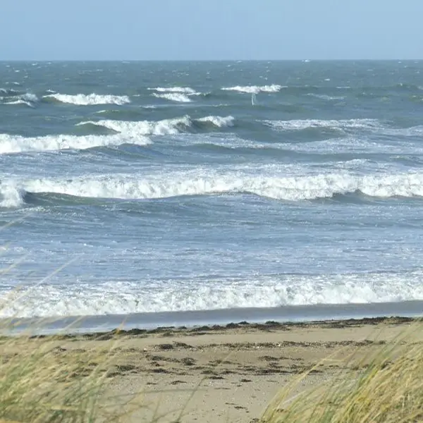 anneville-sur-mer-plage