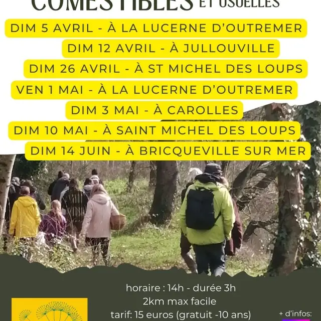 2026 - Balade découverte plantes sauvages 2026