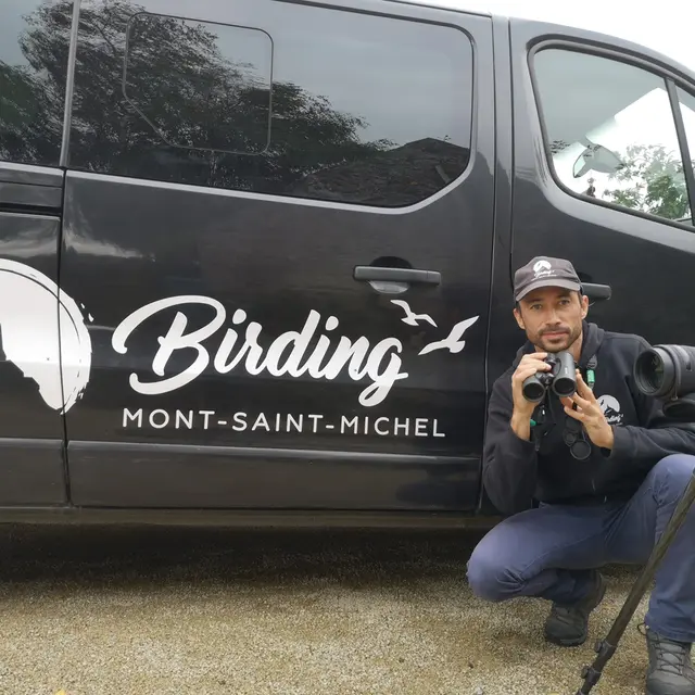 birding-mont-saint-michel-jullouville-1